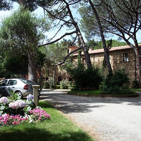 Villa Bolgherello Marina Di Bibbona Eksteriør bilde